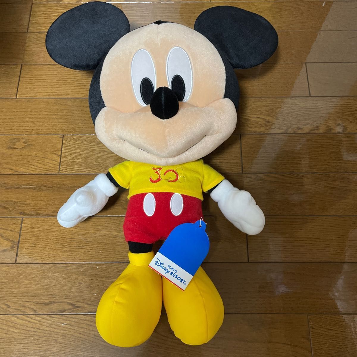 東京ディズニーリゾート30周年 ミッキー＆ミニーぬいぐるみ 未使用品