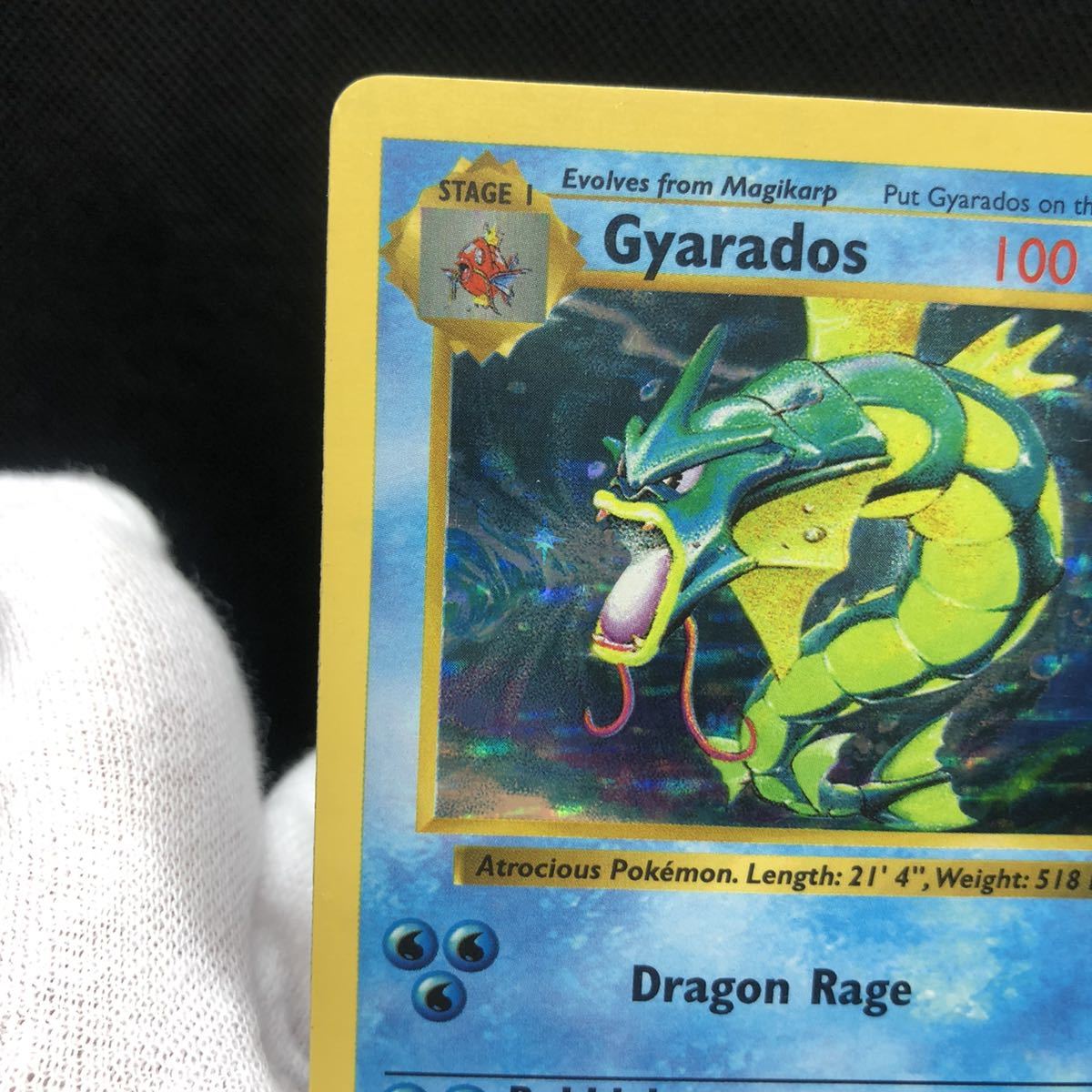 ポケモンカード 英語版 旧裏 ギャラドス シャドーレス ホロ｜Yahoo