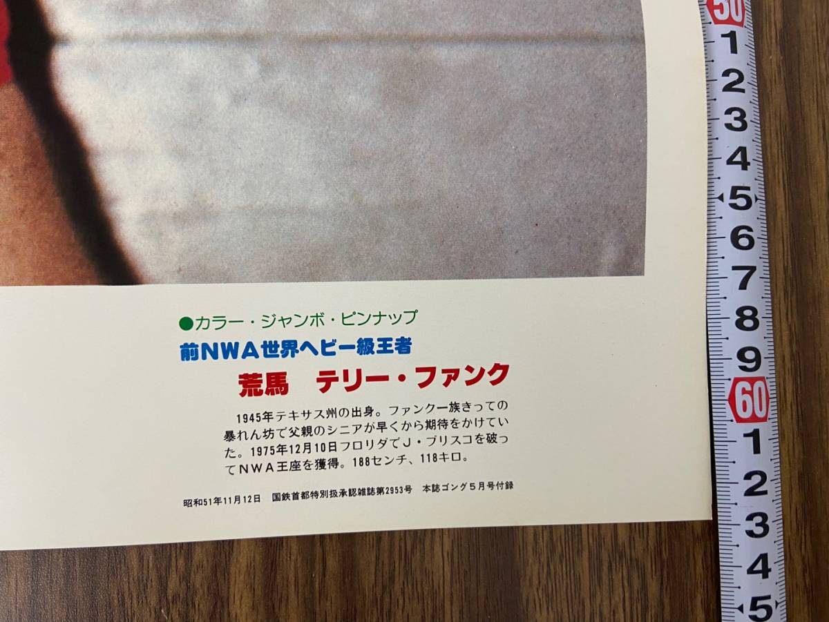 Yahoo!オークション - 7876-82/ 当時物 プロレス ゴング 付録ポスター/