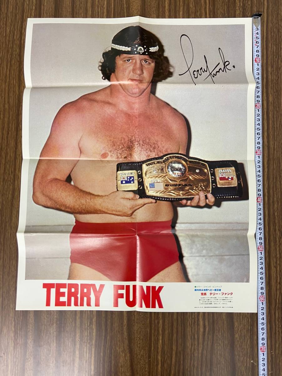 Yahoo!オークション - 7876-82/ 当時物 プロレス ゴング 付録ポスター/