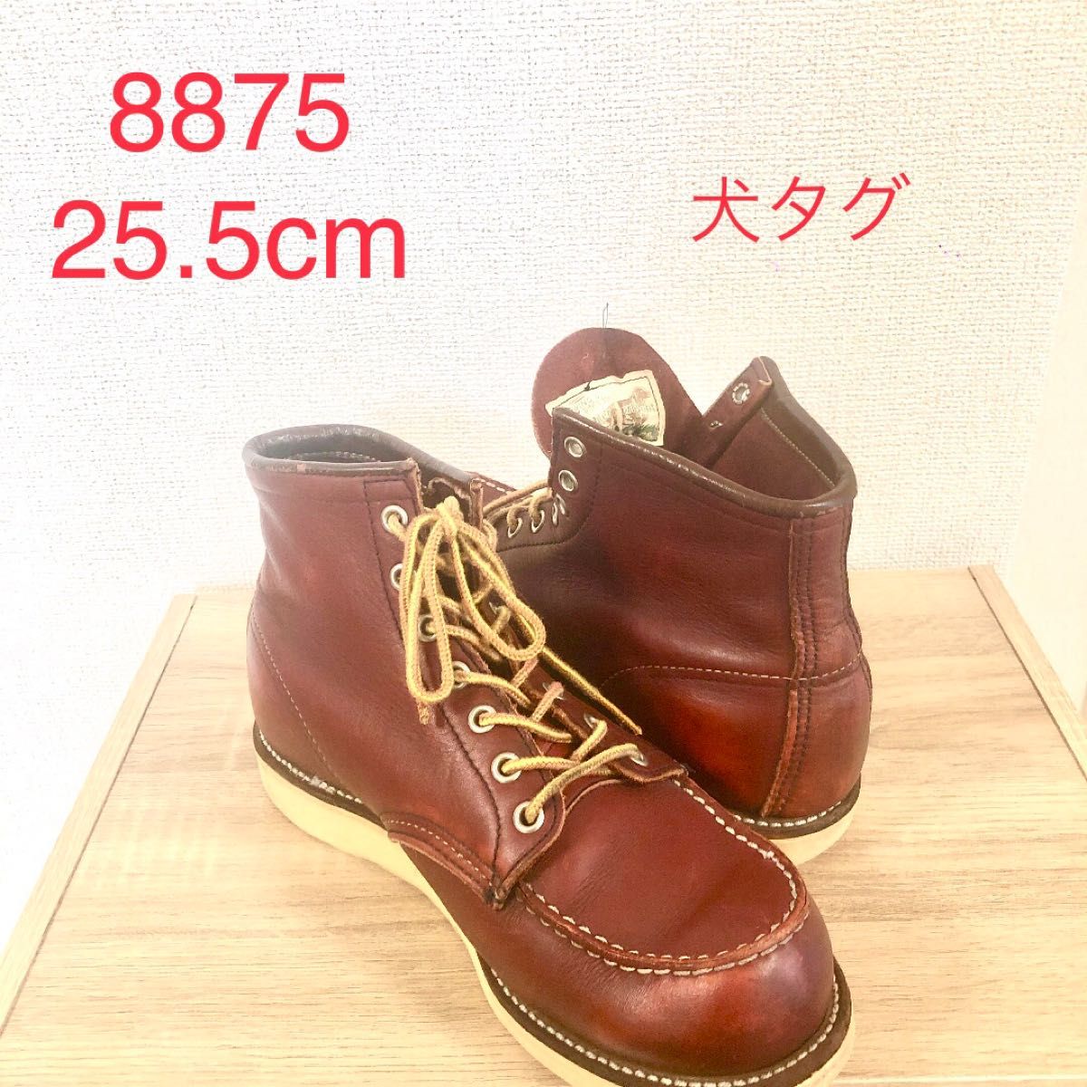 RED WING 四角犬タグ レッドウイング アイリッシュセッター 8875
