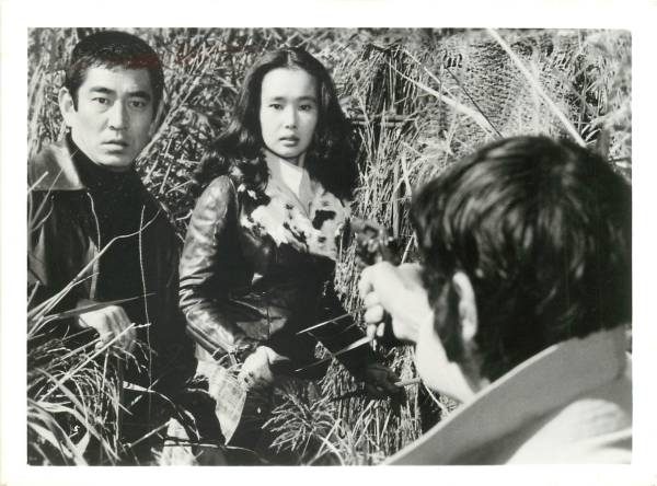 Yahoo!オークション - p23051高倉健原田芳雄中野良子『君よ憤怒の河を