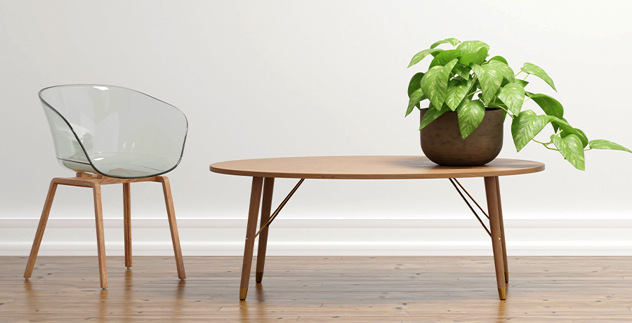 ガラス温室 長谷川工業 GF-158 塊根植物 コーデックス グラキリス