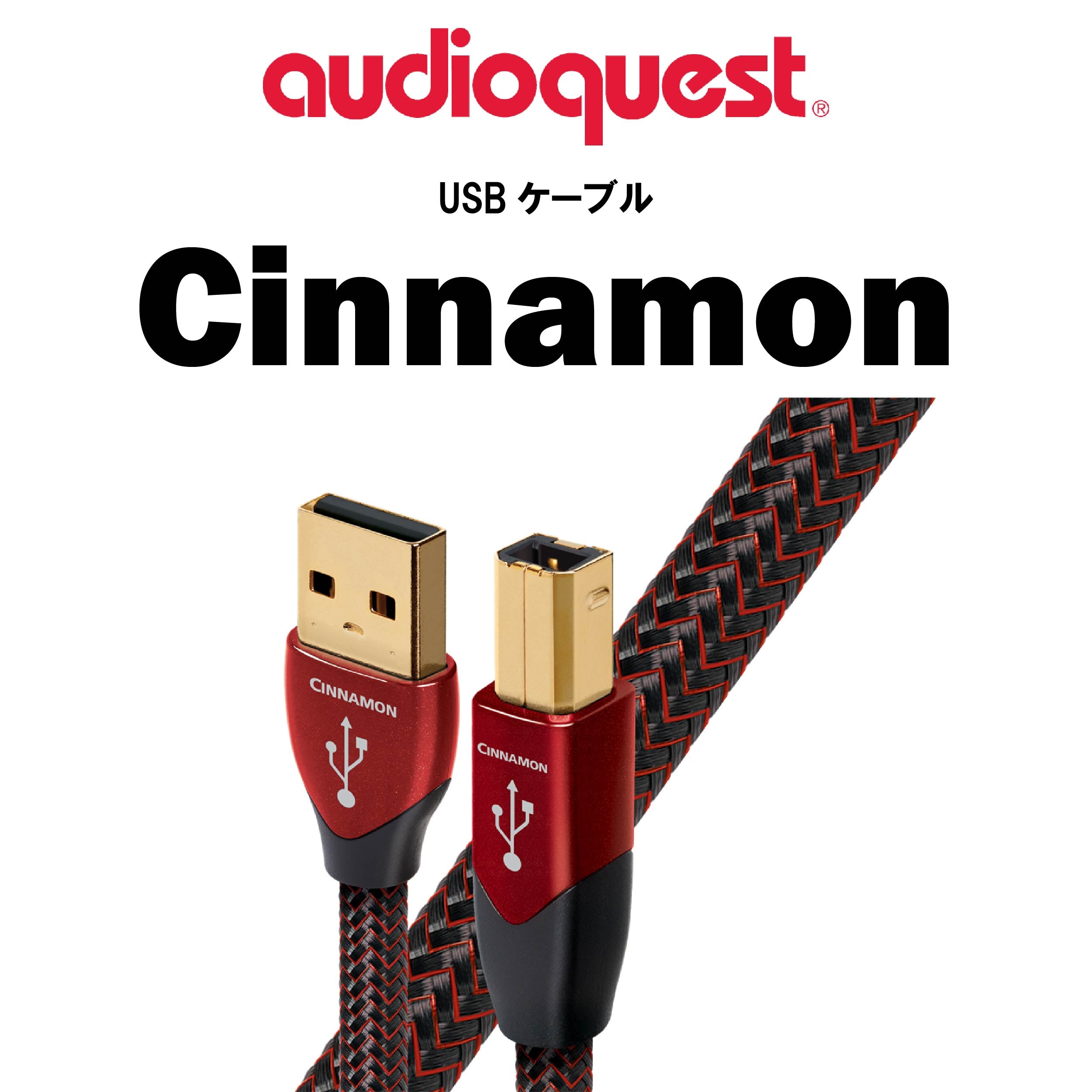 USB Cable(audioquest) – CORE オーディオコア