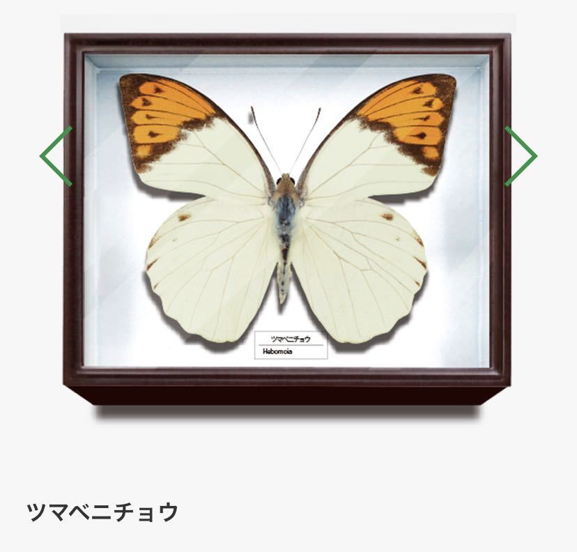 2026年最新】Yahoo!オークション -ドイツ箱の中古品・新品・未使用品一覧