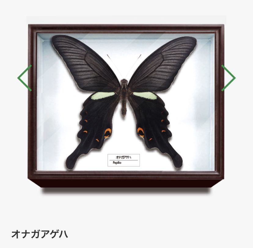 2026年最新】Yahoo!オークション -ドイツ箱の中古品・新品・未使用品一覧