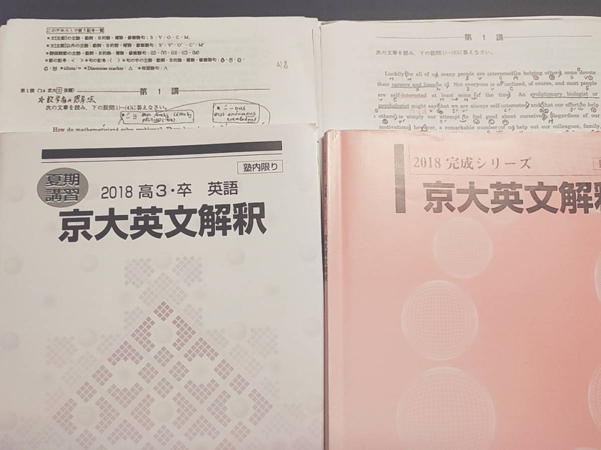 河合塾 登木健司先生 英文読解完全攻略 プリントフルセット 河合塾
