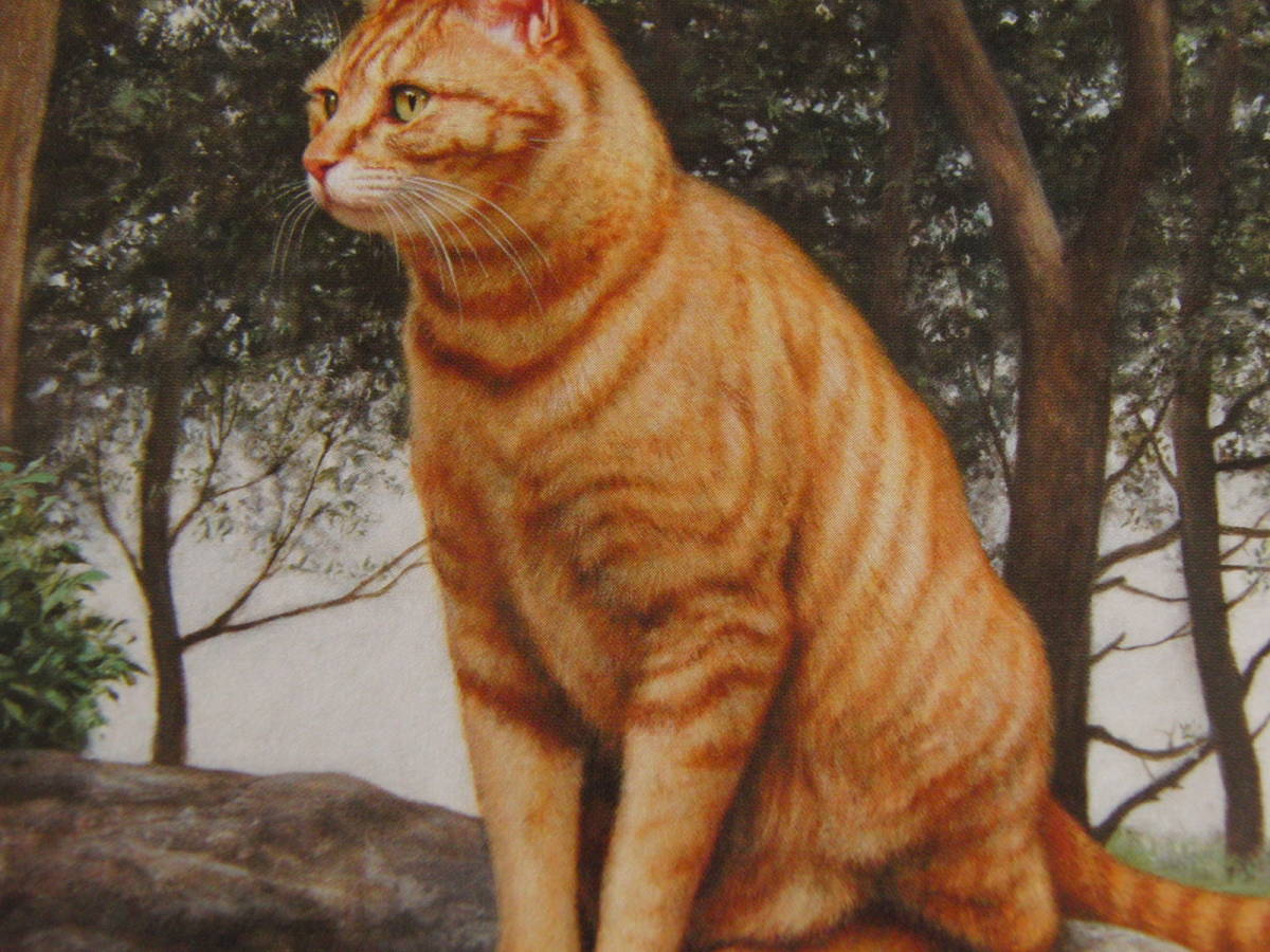 2026年最新】Yahoo!オークション -疋田正章の中古品・新品・未使用品一覧