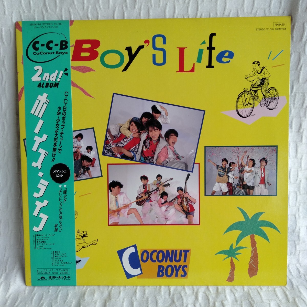 Yahoo!オークション -「ココナッツボーイズ」の落札相場・落札価格