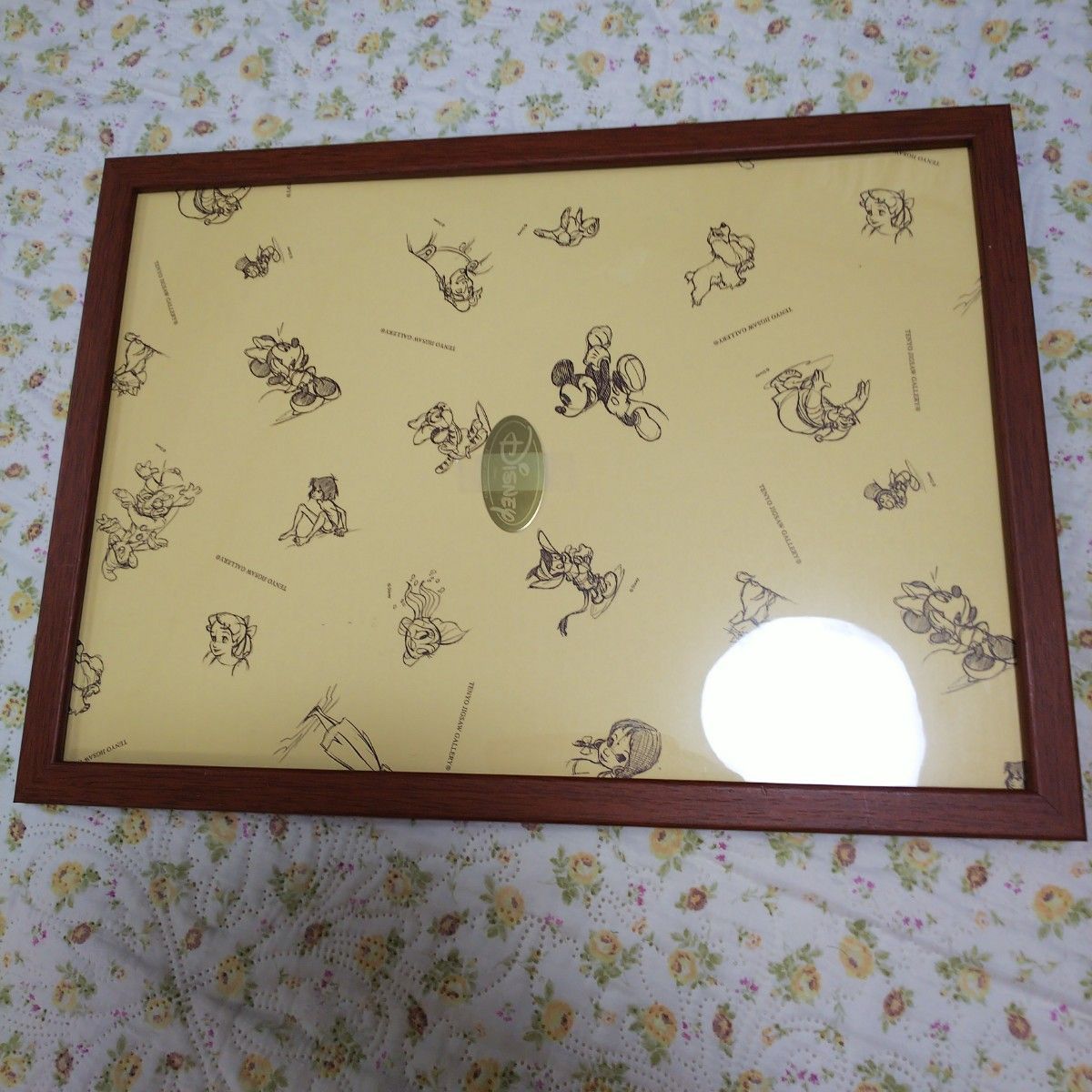 レア ジグソーパズル ドラゴンボールZ専用フレーム “神龍額