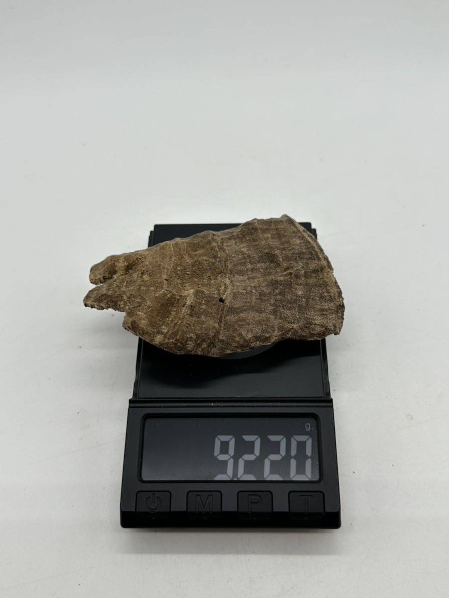 希少 ベトナム産 天然 ドロ 沈香 9.2g 香木 伽羅 羅国 真南蛮 真那伽