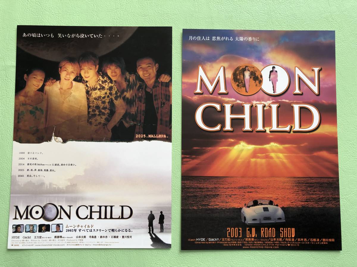 映画ムーンチャイルド リバーシブルポスター パンフレット 初回限定DVD