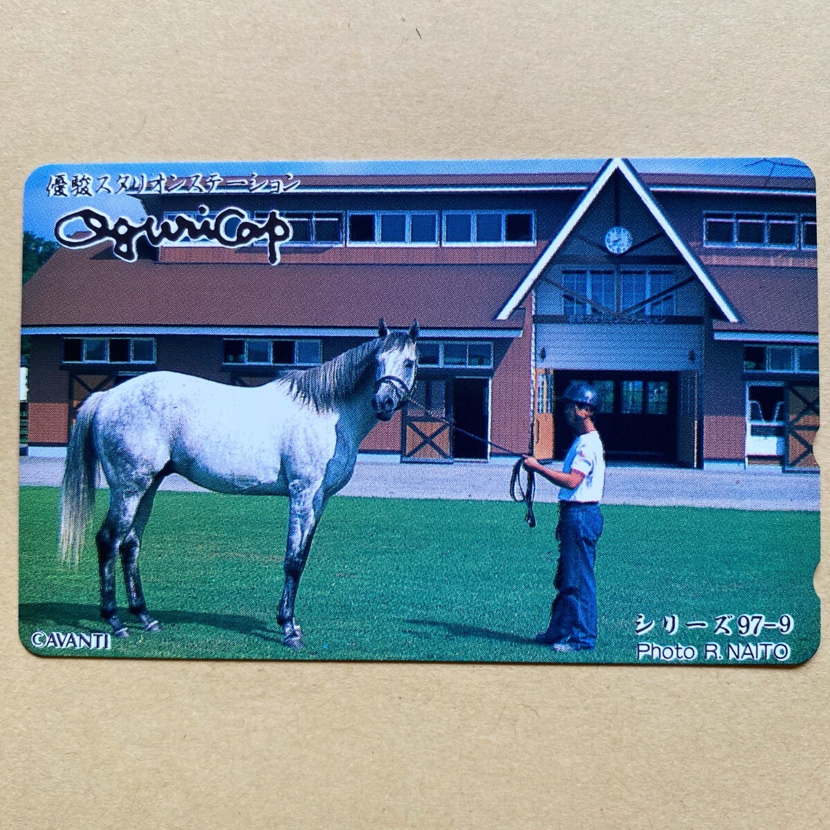 2026年最新】Yahoo!オークション -優駿スタリオンステーションの中古品