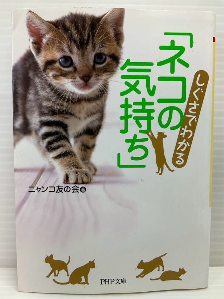2026年最新】Yahoo!オークション -ヌコの中古品・新品・未使用品一覧