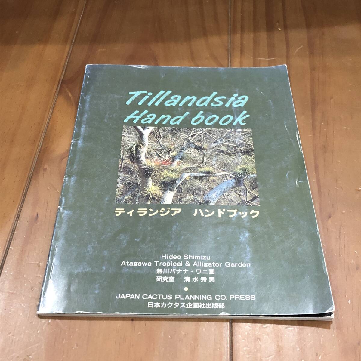 2026年最新】Yahoo!オークション -ティランジア(本、雑誌)の中古品