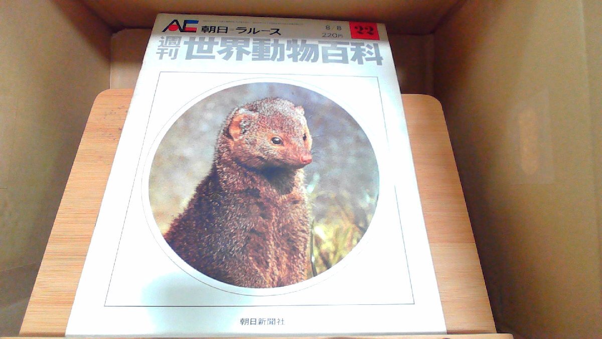 2026年最新】Yahoo!オークション -朝日ラルースの中古品・新品・未使用