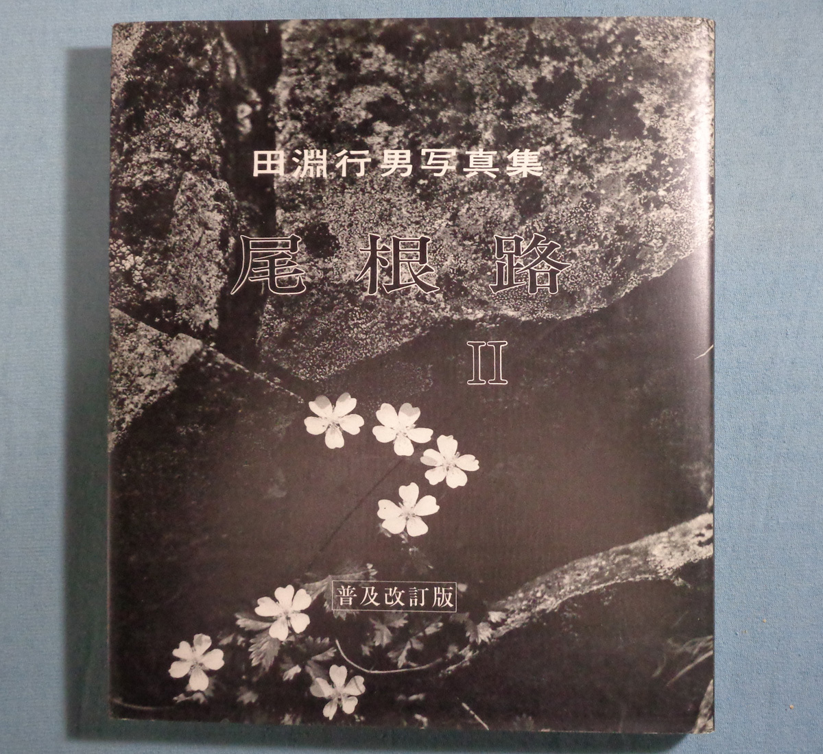 2026年最新】Yahoo!オークション -田淵行男の中古品・新品・未使用品一覧