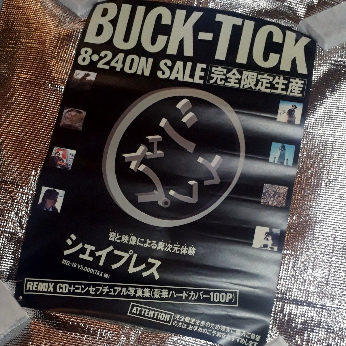サイン 10枚組 ポストカード 星野英彦 櫻井敦司 BUCK-TICK FISH TANK