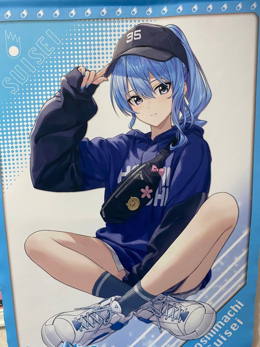 星街すいせい タペストリー ホロライブ｜Yahoo!フリマ（旧PayPayフリマ）