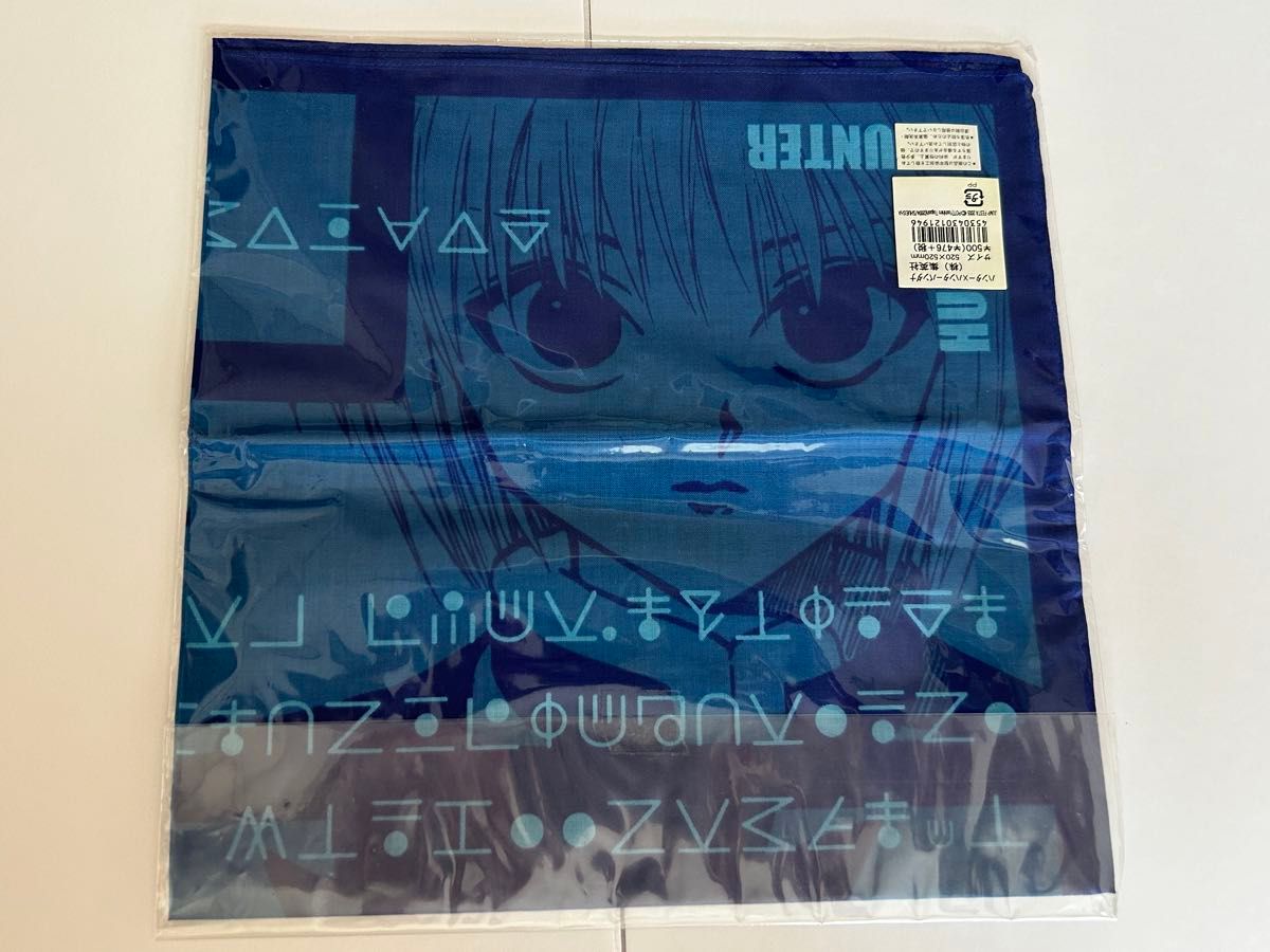 HUNTER×HUNTER DVD 11 特典 ポスター ゴン キルア 旧アニメ ハンター