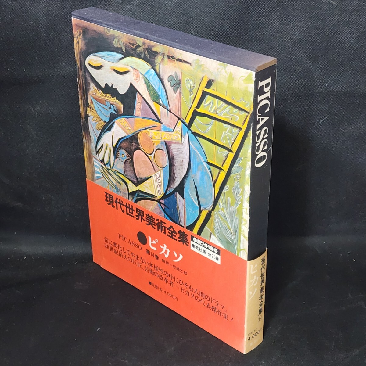 現代世界美術全集25人の画家 アートコレクション その2 14から25 25