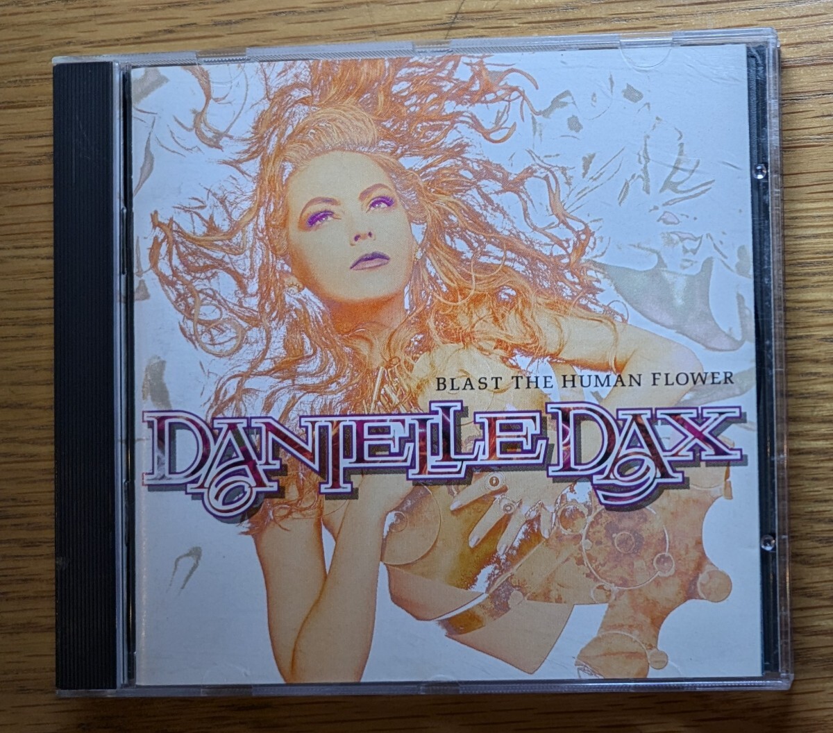 2026年最新】Yahoo!オークション -ダニエル・ダックス(音楽)の中古品