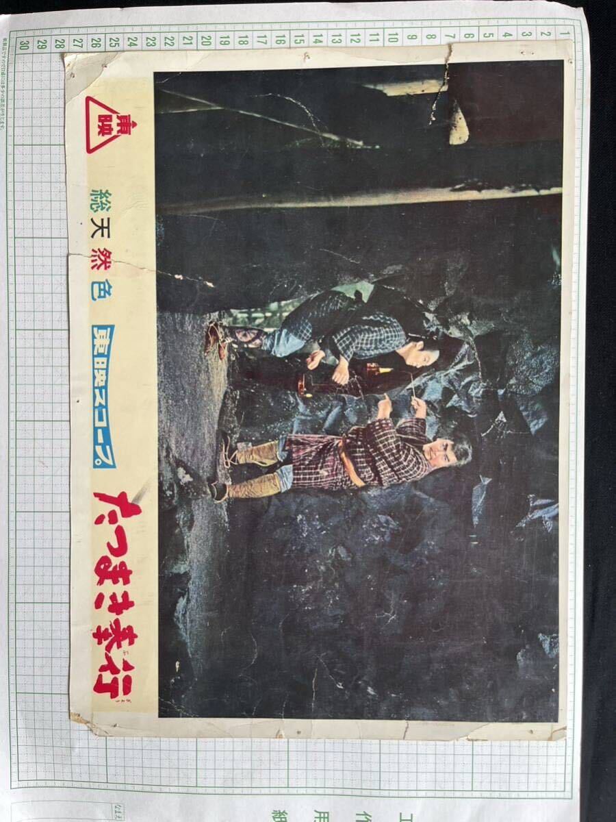 2026年最新】Yahoo!オークション -東千代之介(印刷物)の中古品・新品