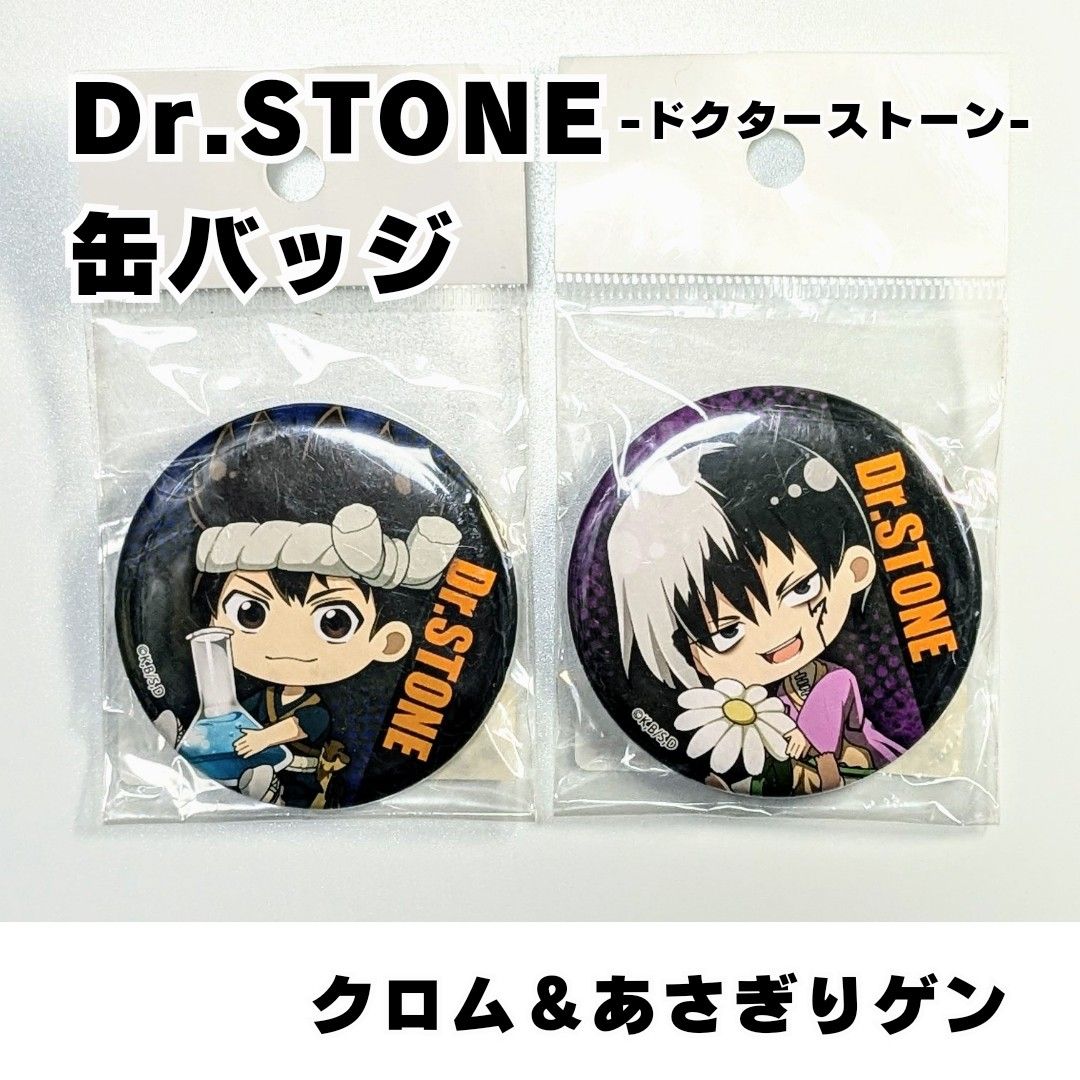 Dr STONE ドクターストーン オールスター 缶バッジ あさぎりゲン 浅霧