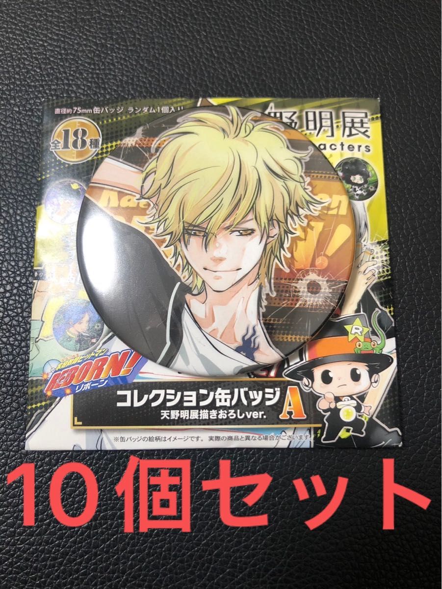 REBORN NEW 天野明展 in 京都 キャラバッジコレクション ランボ 大人