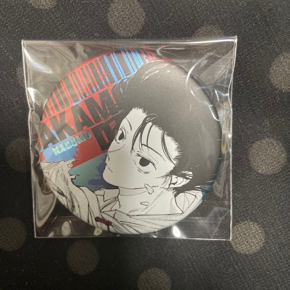 SAKAMOTODAYS サカモトデイズ ASIAN STREET 南雲与市 缶バッジ 15点