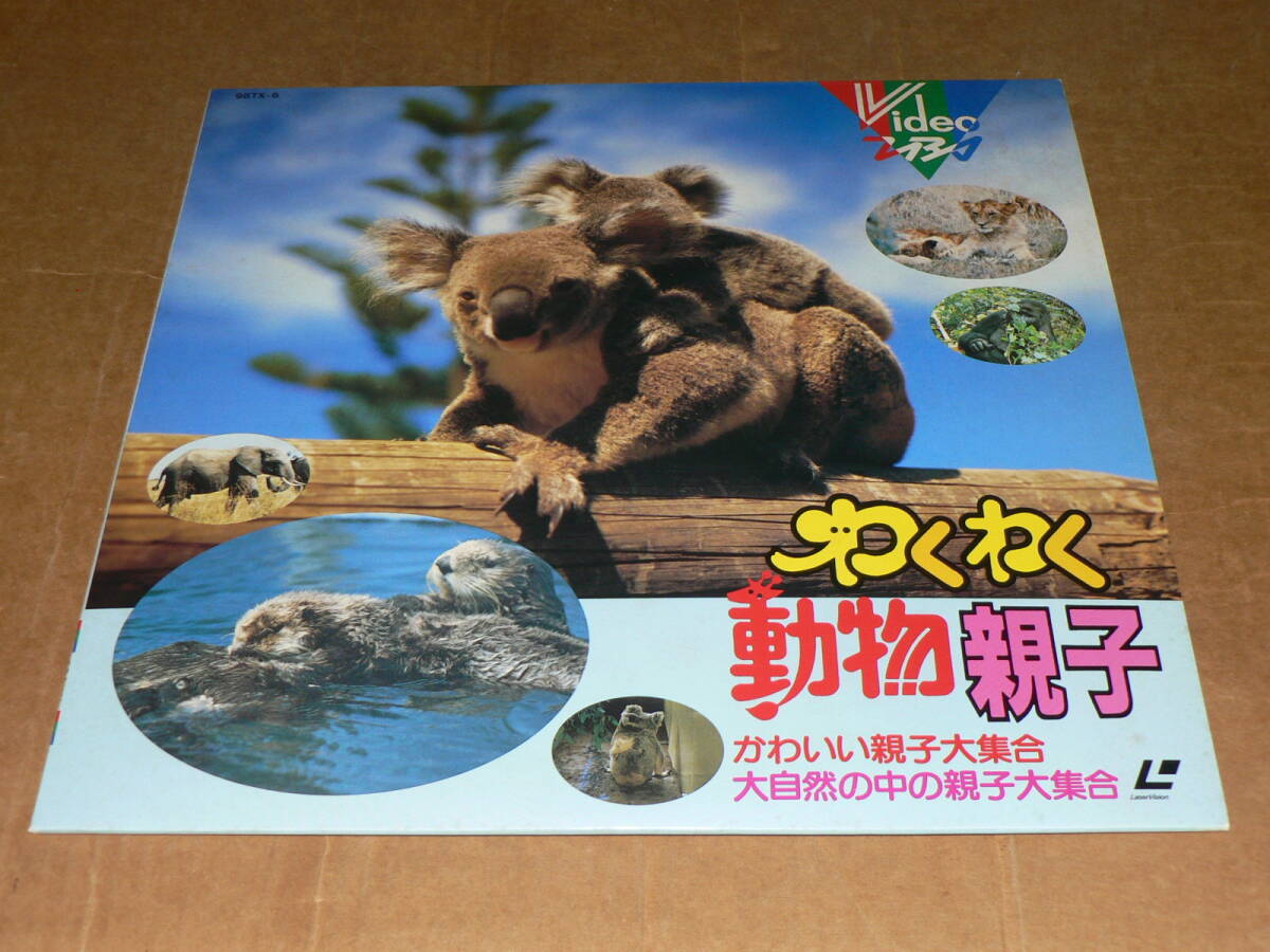 2026年最新】Yahoo!オークション -パンダ(レーザーディスク)の中古品
