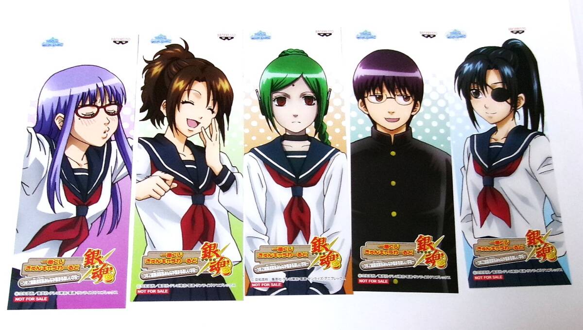 銀魂 柳生九兵衛 性転換編 男体化 女体化 缶バッジ 銀魂 柳生九兵衛