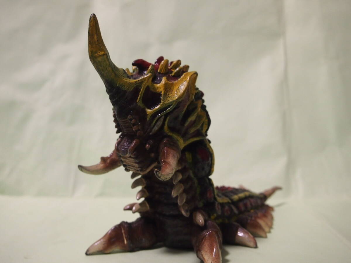 2026年最新】Yahoo!オークション -バトラ 幼虫の中古品・新品・未使用