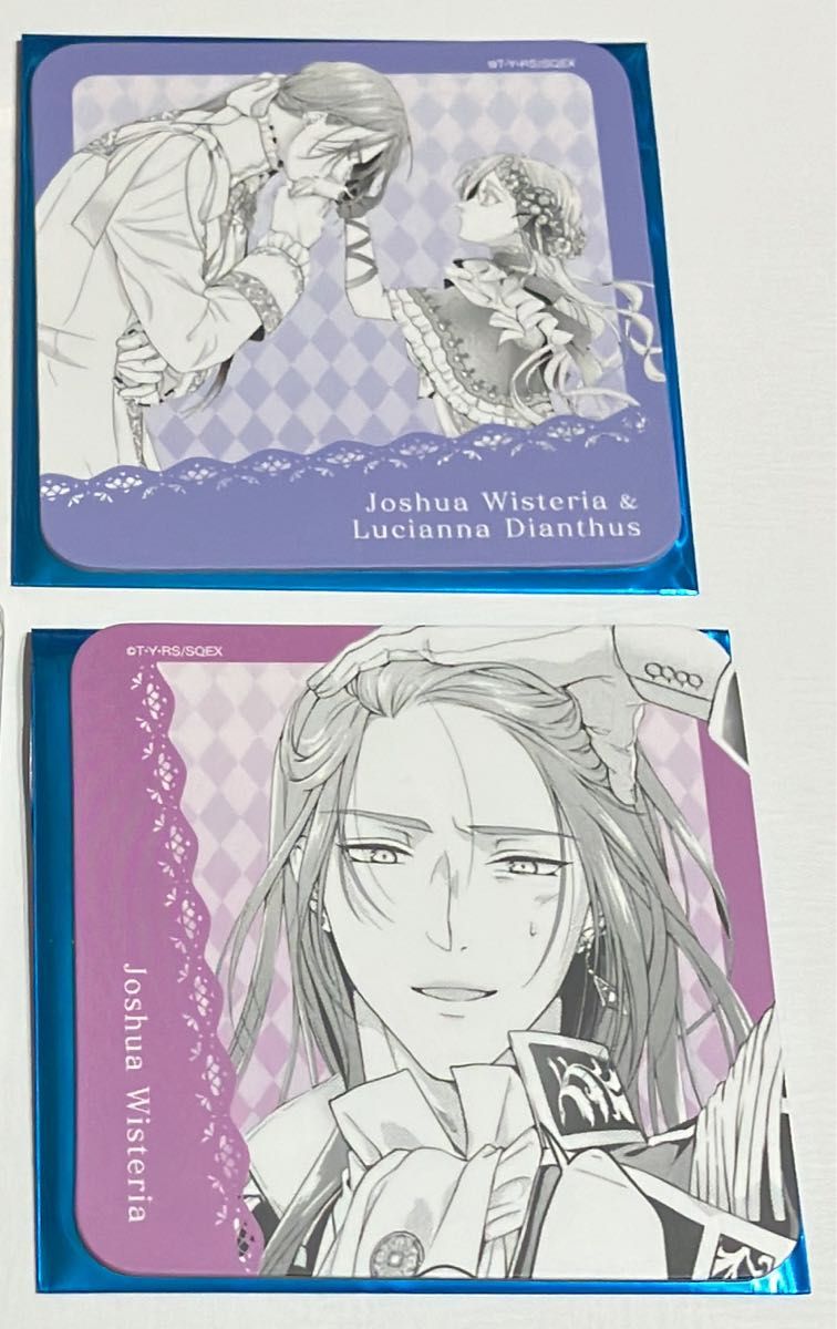 悪役令嬢は溺愛ルートに入りました 特典 セリア ルイス ルチアーナ 8点