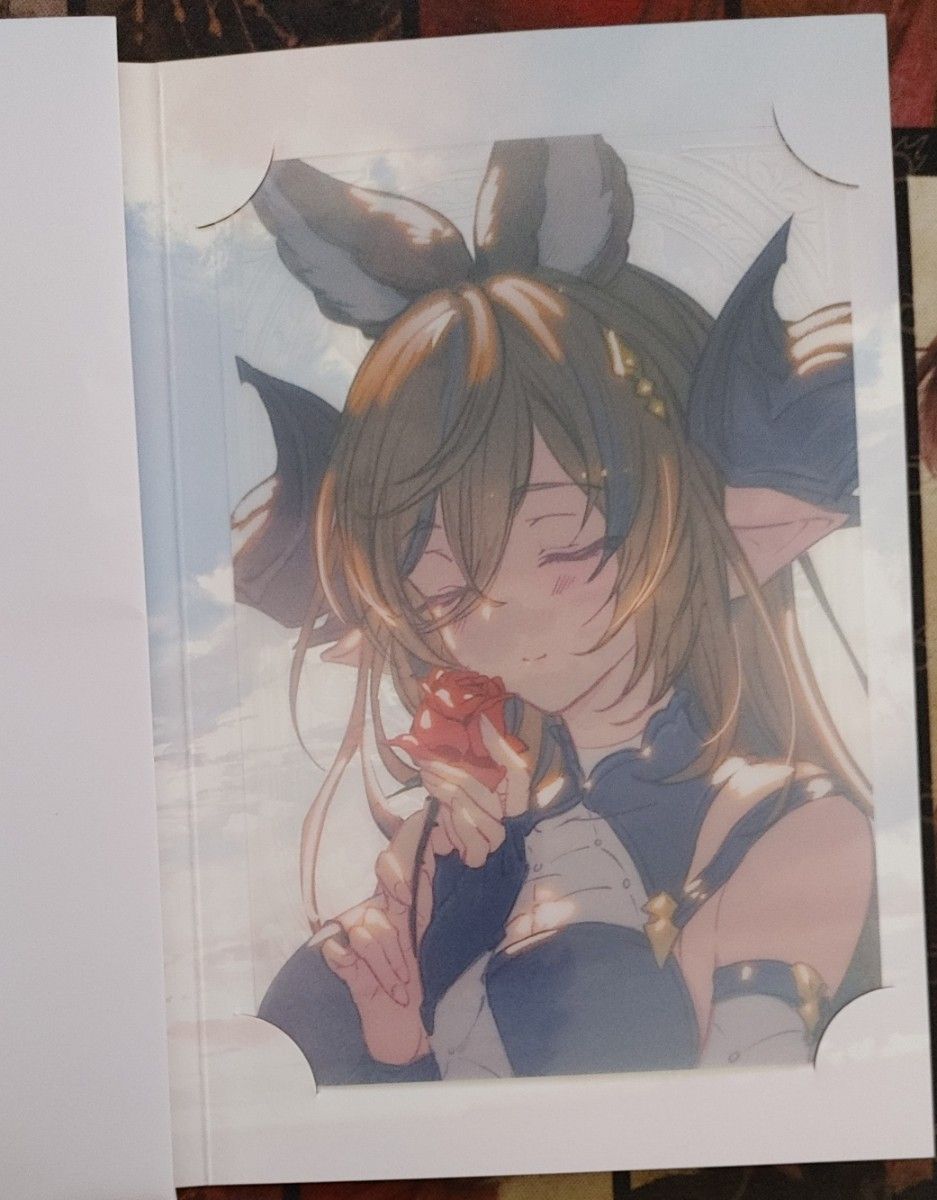 グラブルフェス2025 ライティングアート ガレヲン｜Yahoo!フリマ（旧