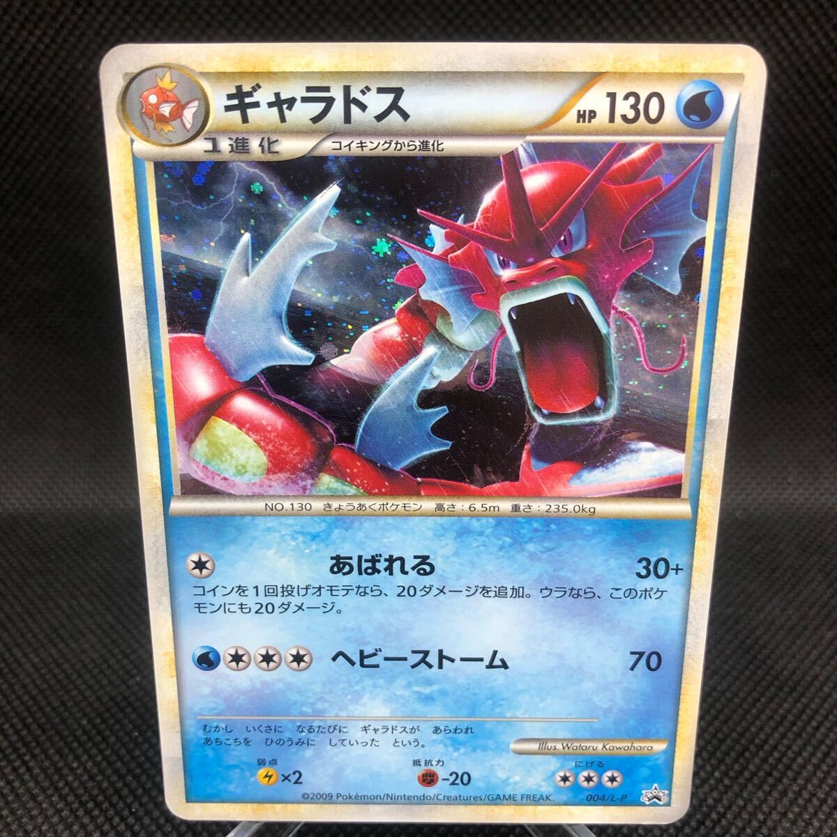 Yahoo!オークション -「ギャラドス 色違い」の落札相場・落札価格