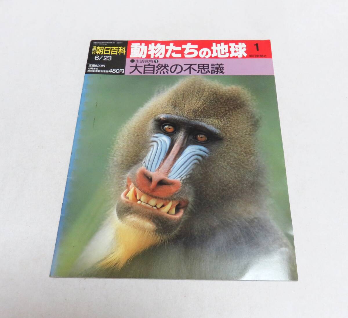 2026年最新】Yahoo!オークション -動物たちの地球(本、雑誌)の中古品