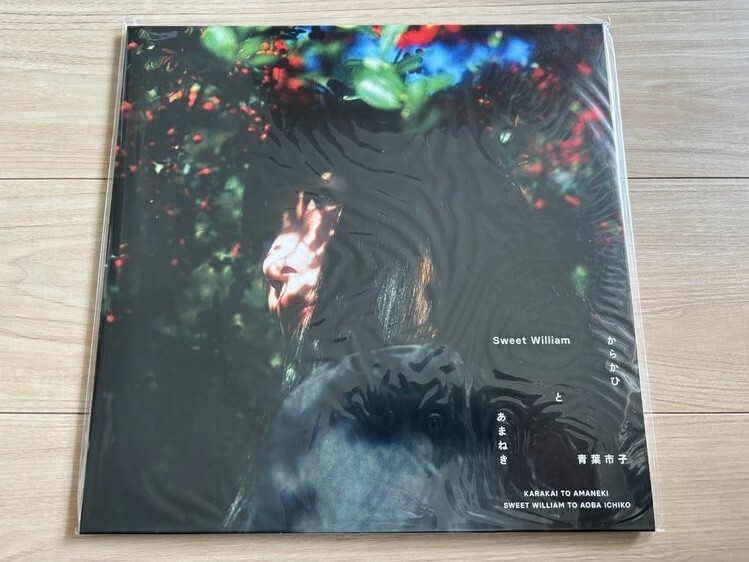 2026年最新】青葉市子(Ichiko Aoba)のレコード一覧 - Yahoo!オークション