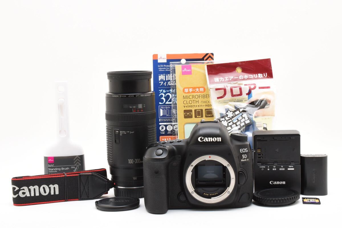 2026年最新】Yahoo!オークション -ef100-300mm f5.6の中古品・新品・未