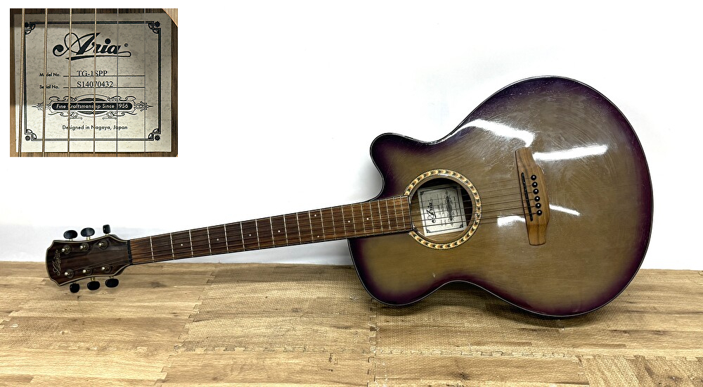 Aria TG-1N アコースティックギター 弦交換済み ソフトケース付き