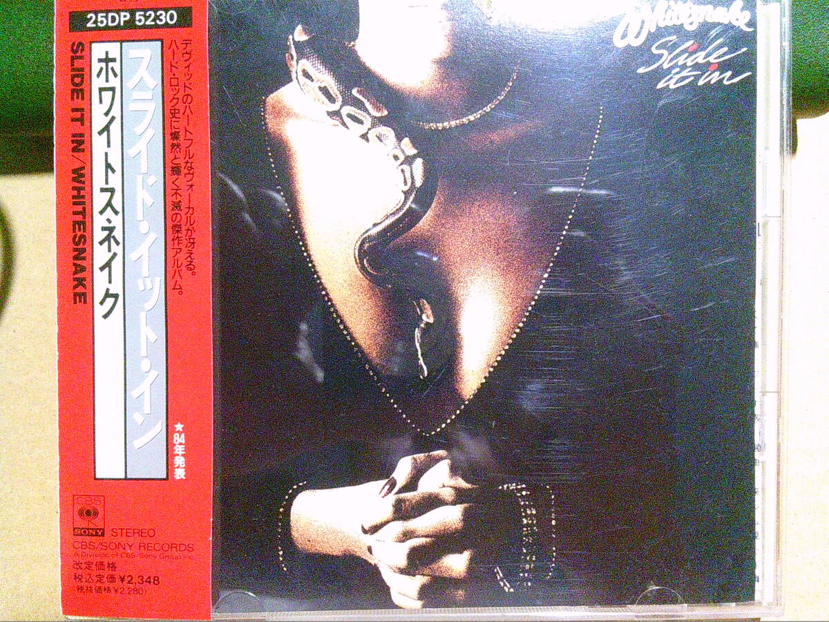 2026年最新】Yahoo!オークション -ホワイトスネイク スライドイット