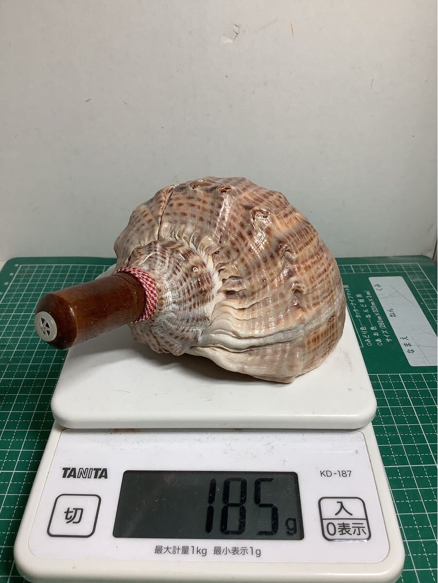 2026年最新】Yahoo!オークション -山伏 法螺貝の中古品・新品・未使用