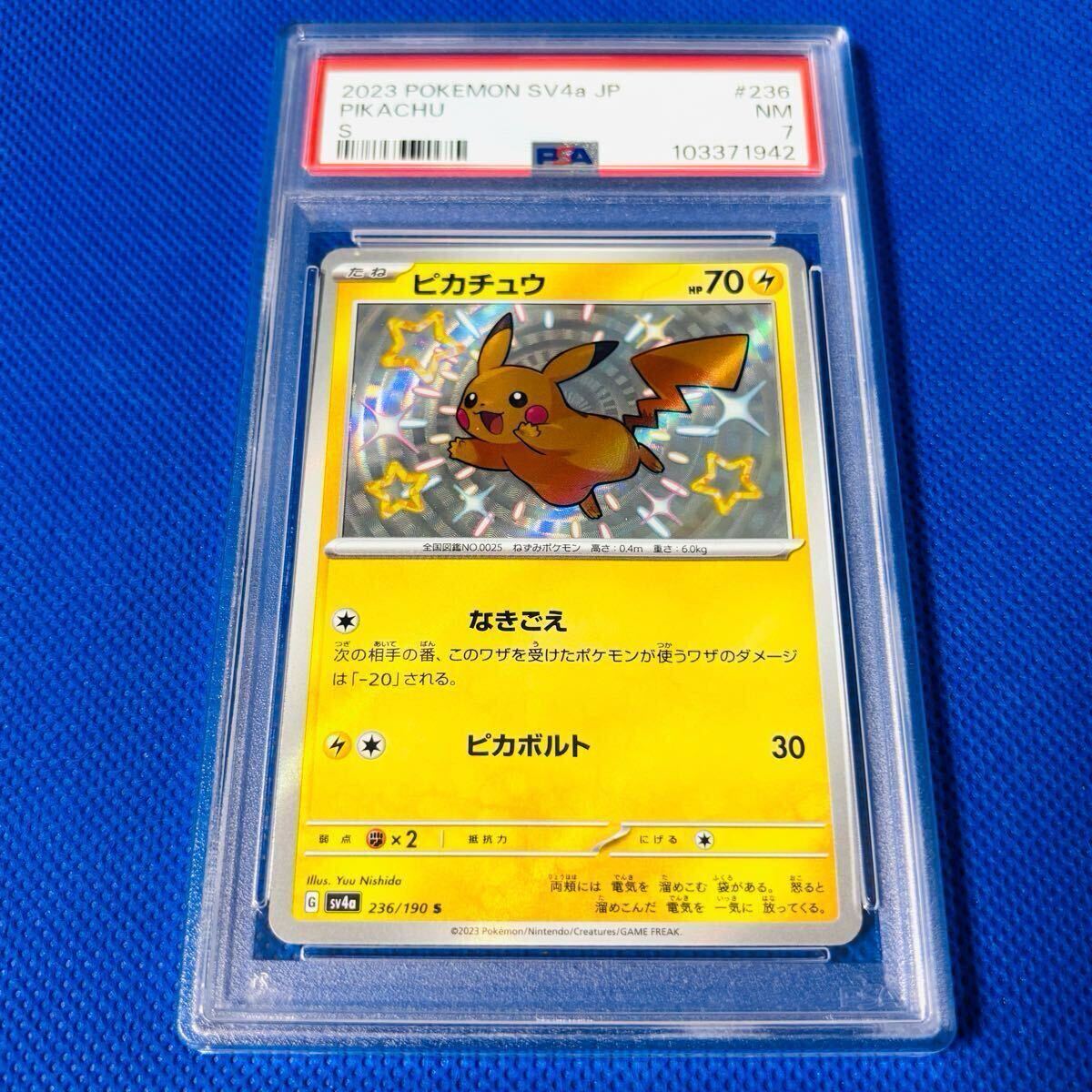 Yahoo!オークション -「色違いピカチュウ」の落札相場・落札価格