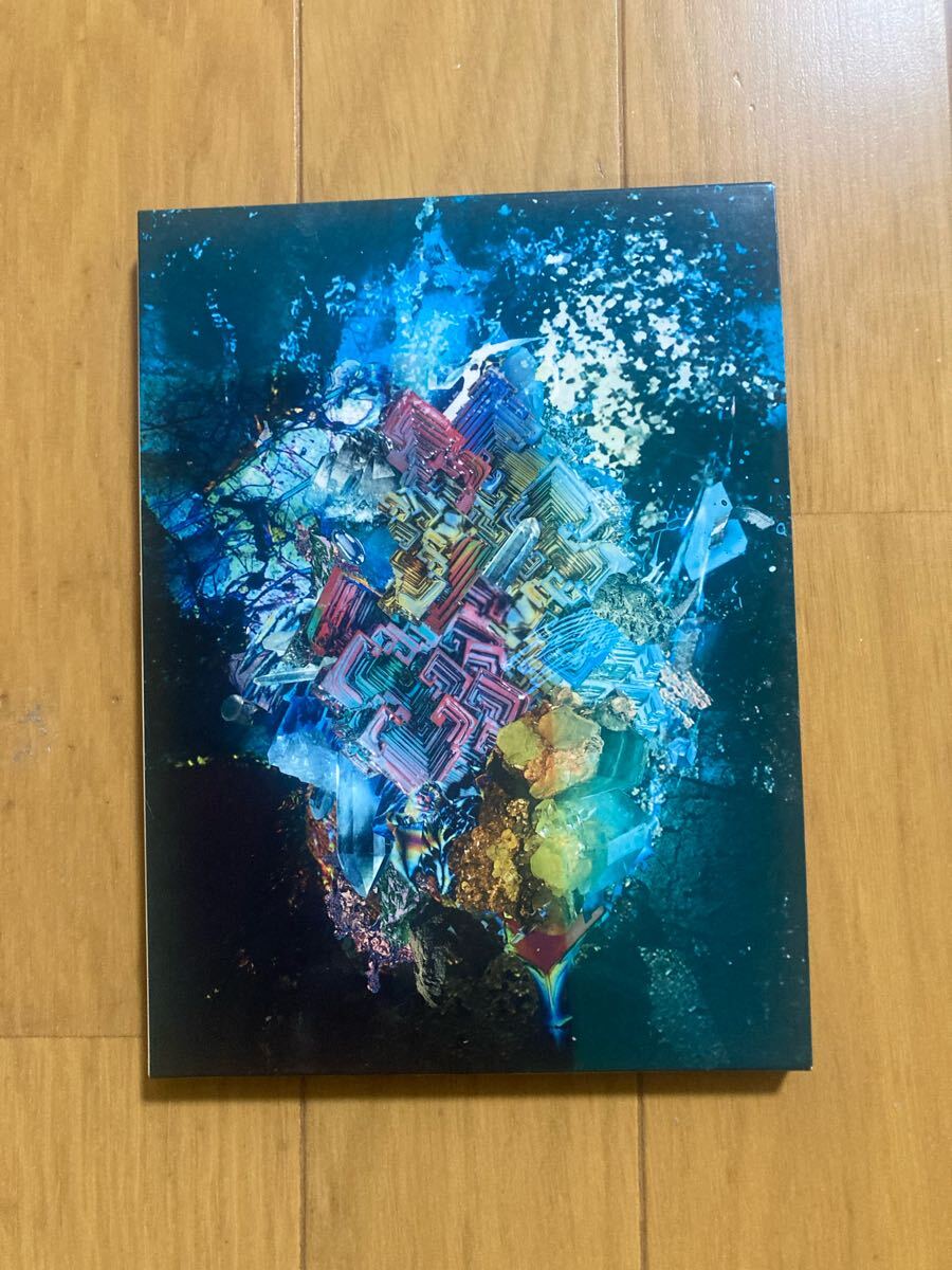 Yahoo!オークション -「radwimps 罪」の落札相場・落札価格