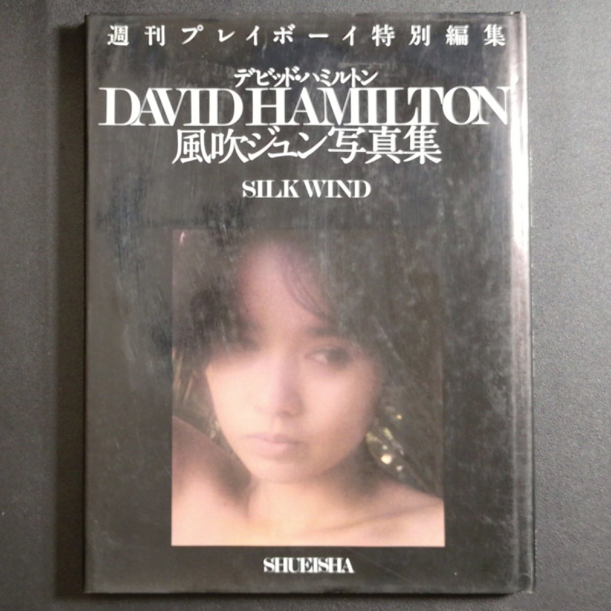 Yahoo!オークション -「デビッドハミルトン 写真集」の落札相場・落札価格