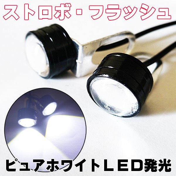 Yahoo!オークション -「フォルツァmf10ヘッドライト」の落札相場・落札価格