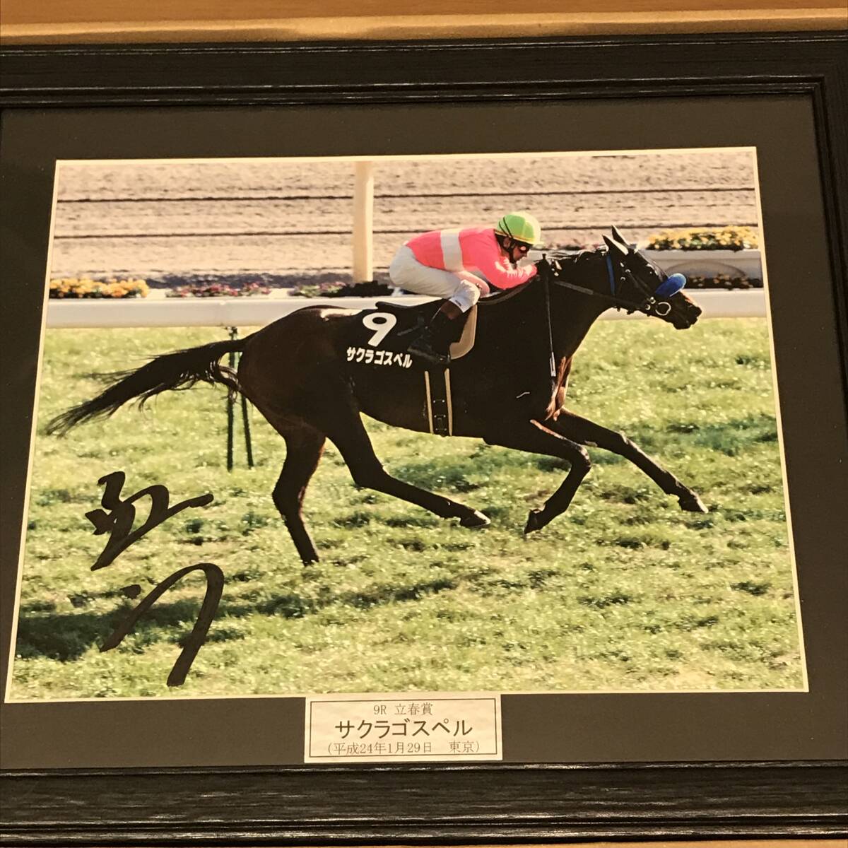 Yahoo!オークション -「騎手 サイン」の落札相場・落札価格