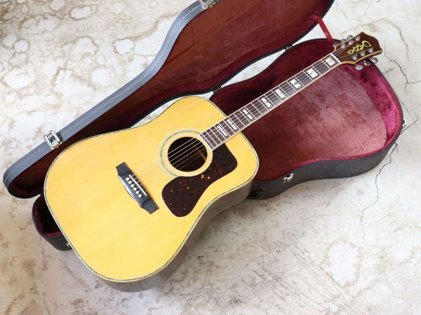 Yahoo!オークション -「canyon」(アコースティックギター) (ギター)の