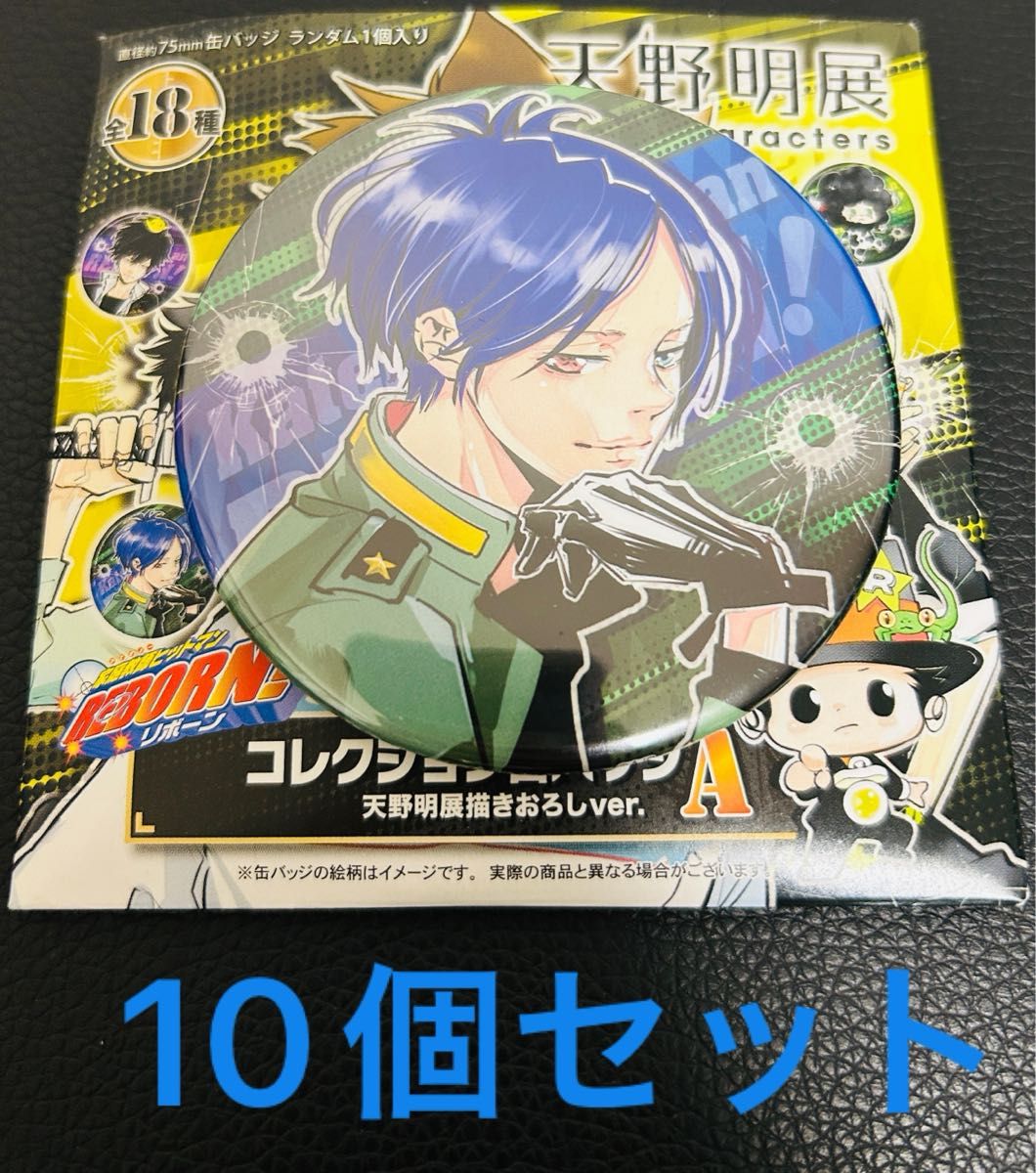 天野明展 家庭教師ヒットマンREBORN コレクション缶バッジA 獄寺隼人