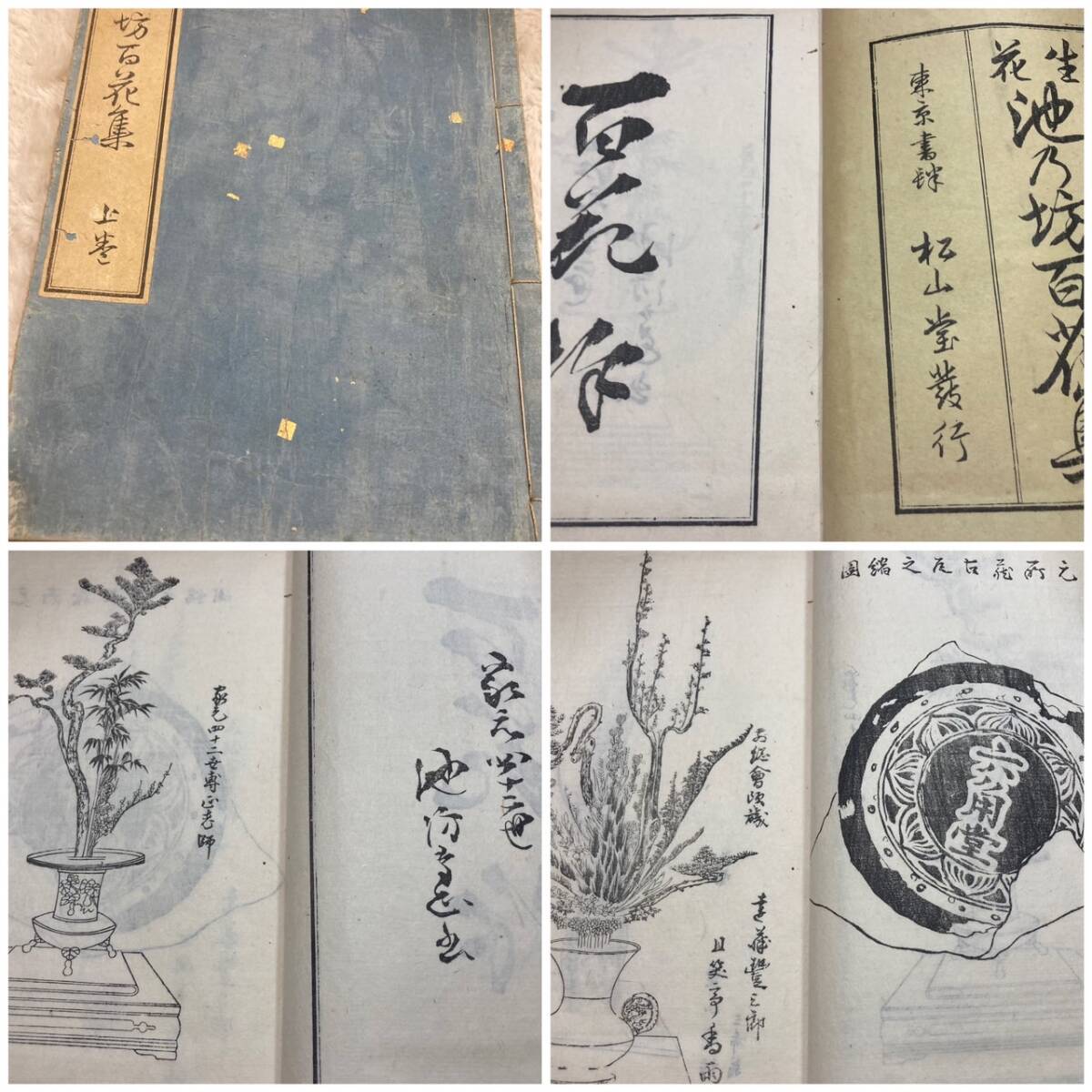 2026年最新】Yahoo!オークション -和本 華道の中古品・新品・未使用品一覧